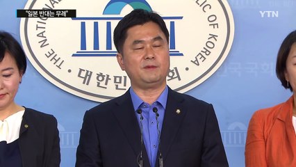 내일 여야 독도 방문..."일본 반대는 무례" / YTN (Yes! Top News)