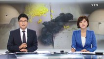 폭염에 달걀이 병아리로 부화...어떻게 가능했나? / YTN (Yes! Top News)