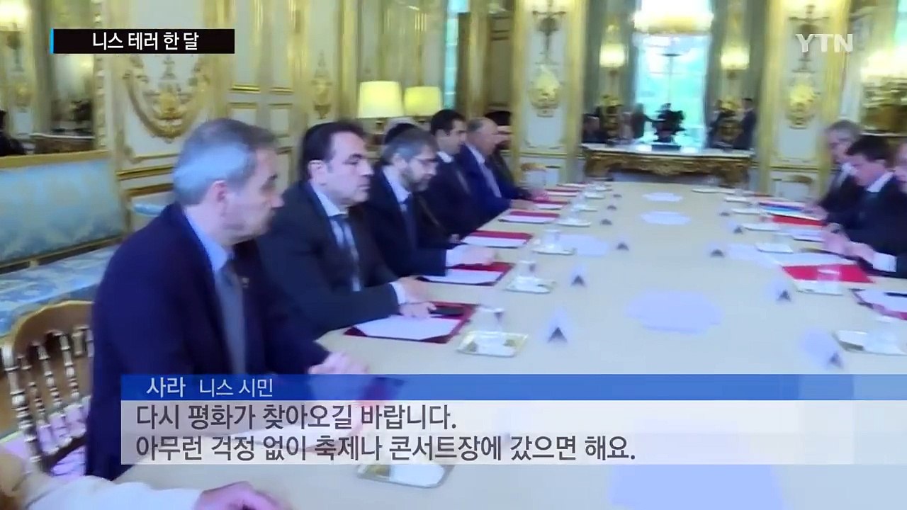 니스 테러 발생 한 달...프랑스 어떻게 달라졌나 / YTN (Yes! Top News)
