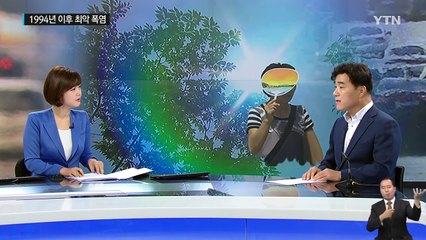 뜨거운 도심...공식 기온보다 더 덥게 느껴지는 이유는? / YTN (Yes! Top News)