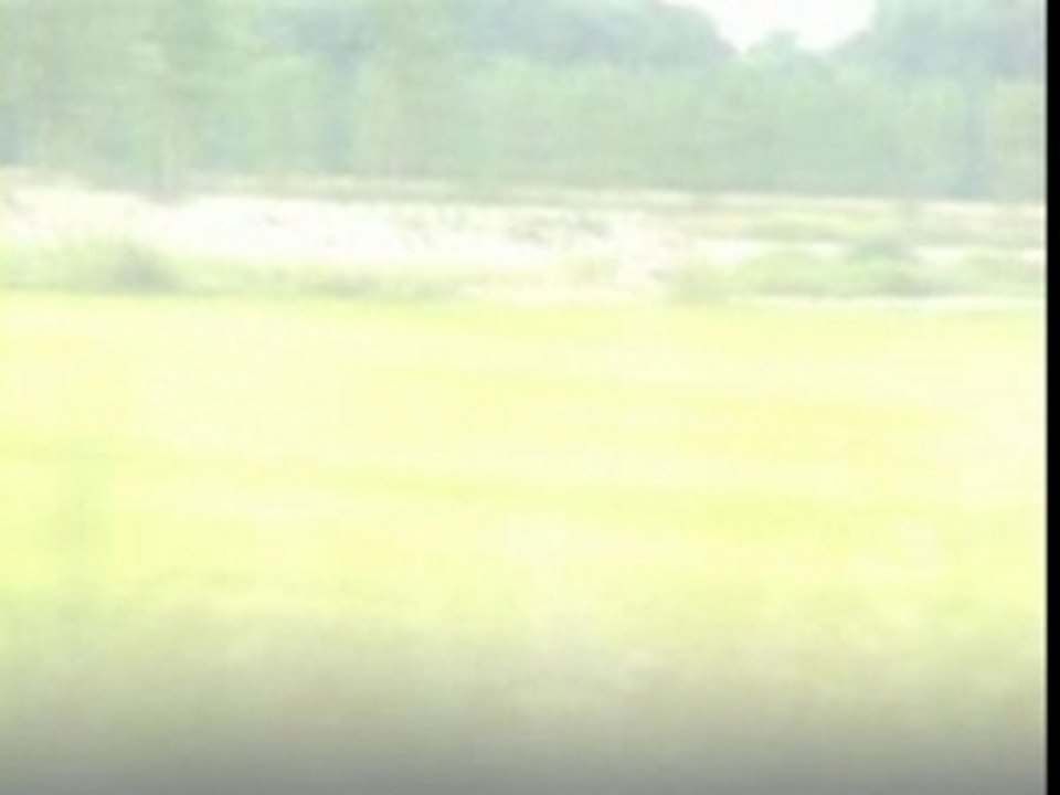 Train_cécile
