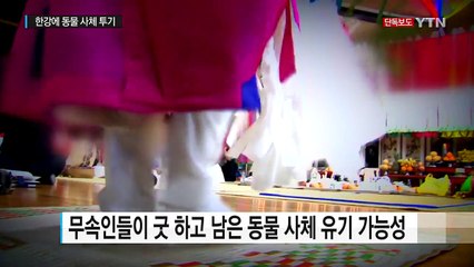 [단독] 누가 한강에 절단된 동물 사체를 버렸나 / YTN (Yes! Top News)