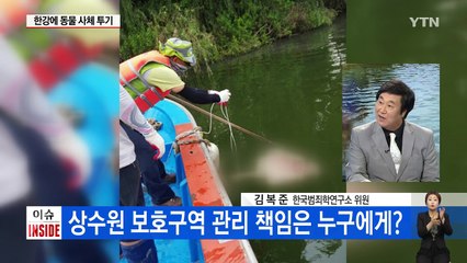'한강 미스터리' 누가 한강에 동물 사체를 버렸나 / YTN (Yes! Top News)