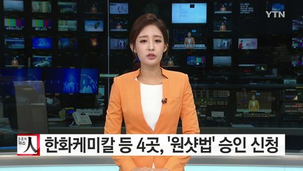 한화케미칼 등 4곳, '원샷법' 승인 신청 / YTN (Yes! Top News)