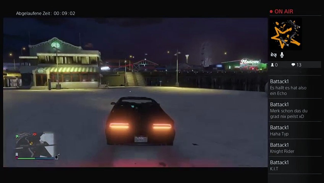 Gta mit kater (11)