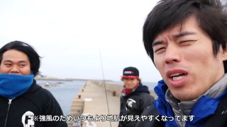 大量!サビキでアジ釣りだぁーーー！-XRDTFsroc3o