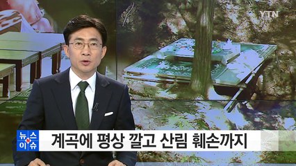 계곡에 평상 깔고 산림 훼손까지...불법 식당 적발 / YTN (Yes! Top News)