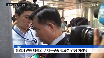 허수영 영장 기각...신동빈 소환 시기 관심 / YTN (Yes! Top News)