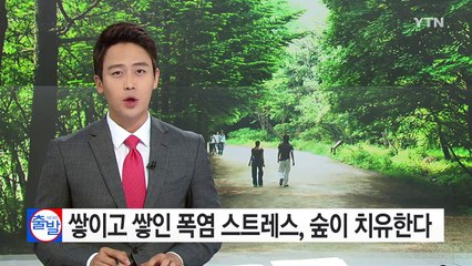 쌓이고 쌓인 폭염 스트레스, 숲이 치유한다 / YTN (Yes! Top News)