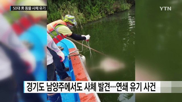 '한강 미스터리' 풀렸다... 천제 지내고 사체 유기 / YTN (Yes! Top News)