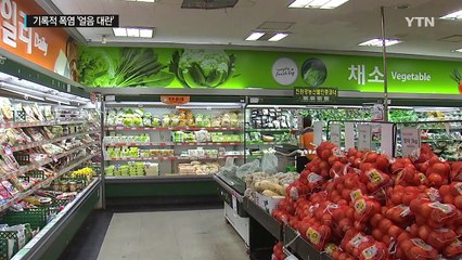 '먹는 얼음' 대란에 영세업체 울상...배급제까지 등장 / YTN (Yes! Top News)