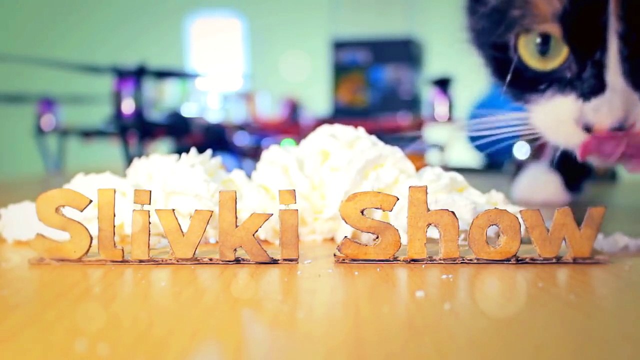 7 Lifehacks die das leben vom Kater vereinfachen-I2F3wfeHoGQ