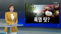 전국 학교 집단 식중독 잇따라...방역 '비상' / YTN (Yes! Top News)