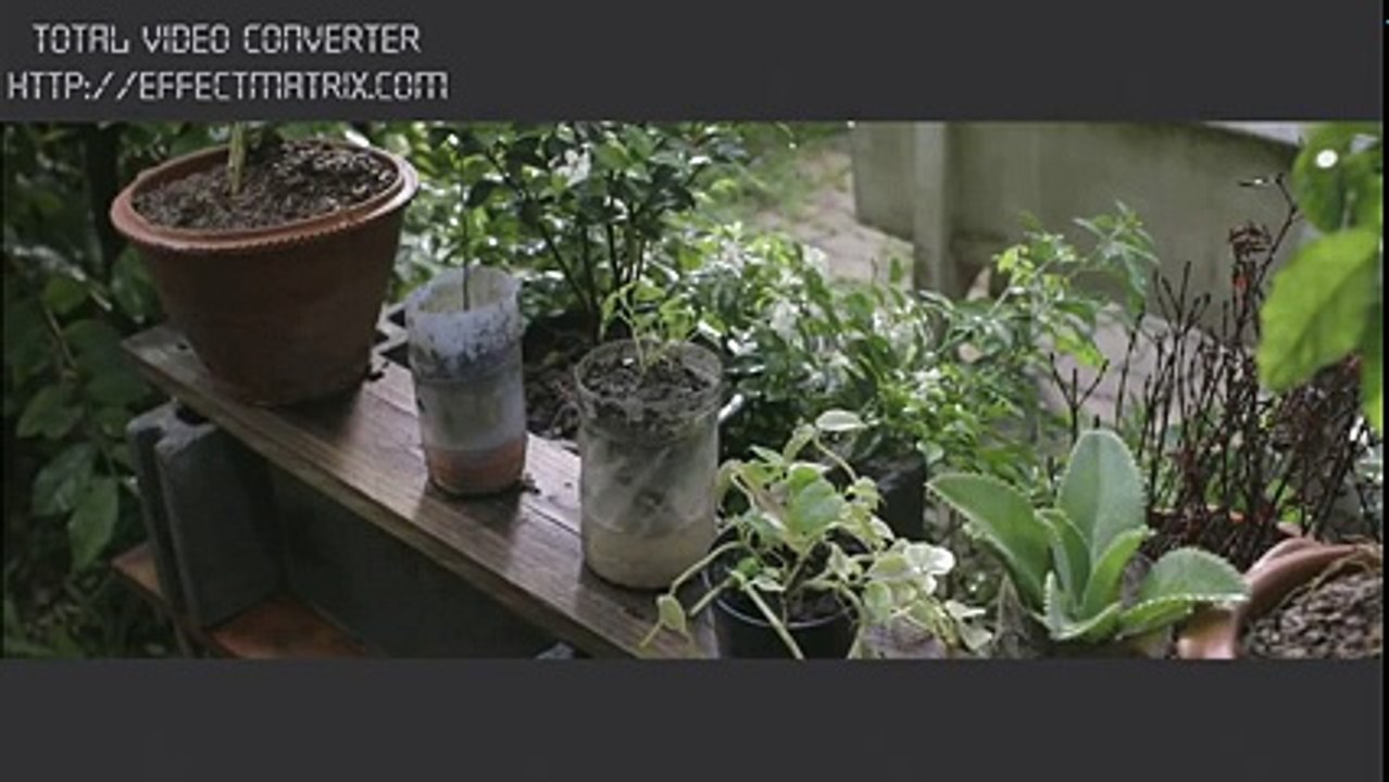 Clip cảm động về" Tình cha mẹ"