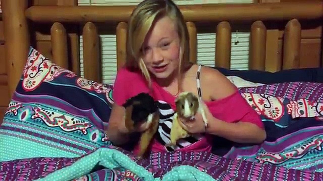 Princess Ella skips school and goes to the dentist,justice,pet smart,b-dubs and orange leaf vlog 4