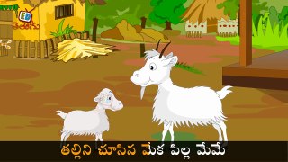 Chettu Meeda Kaki Pilla with Lyrics _ Telugu nursery rhymes for children _ Edtelugu-n-GcwaRIA6Y