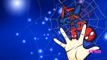 Spiderman Finger Family Songs | Spiderman Cartoons For Children | Finger Family Nursery Rhymes