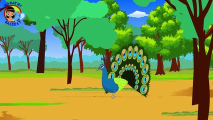 Nach Re Mora _ Marathi Kids Rhymes _ Popular Marathi Song Balgeet-IFNUDSY6vmc