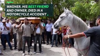 Heart-breaking moment horse cries at owner's funeral-dwhBzOCOdMs