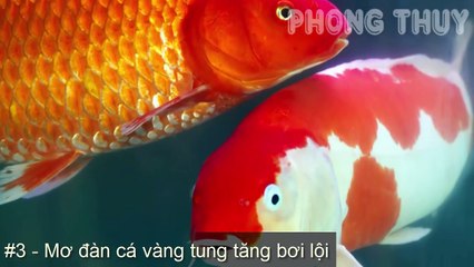 8 GIẤC MỘNG VÀNG Báo Hiệu Khổ Chủ Sắp Bị TIỀN ĐÈ CHẾT NGƯỜI