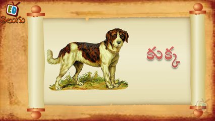 Telugu Balasiksha - Ka Vathu - Learn Telugu Language-cJrXW0jwgCM
