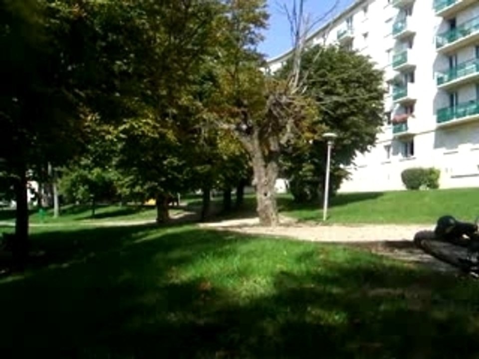 crash de paul