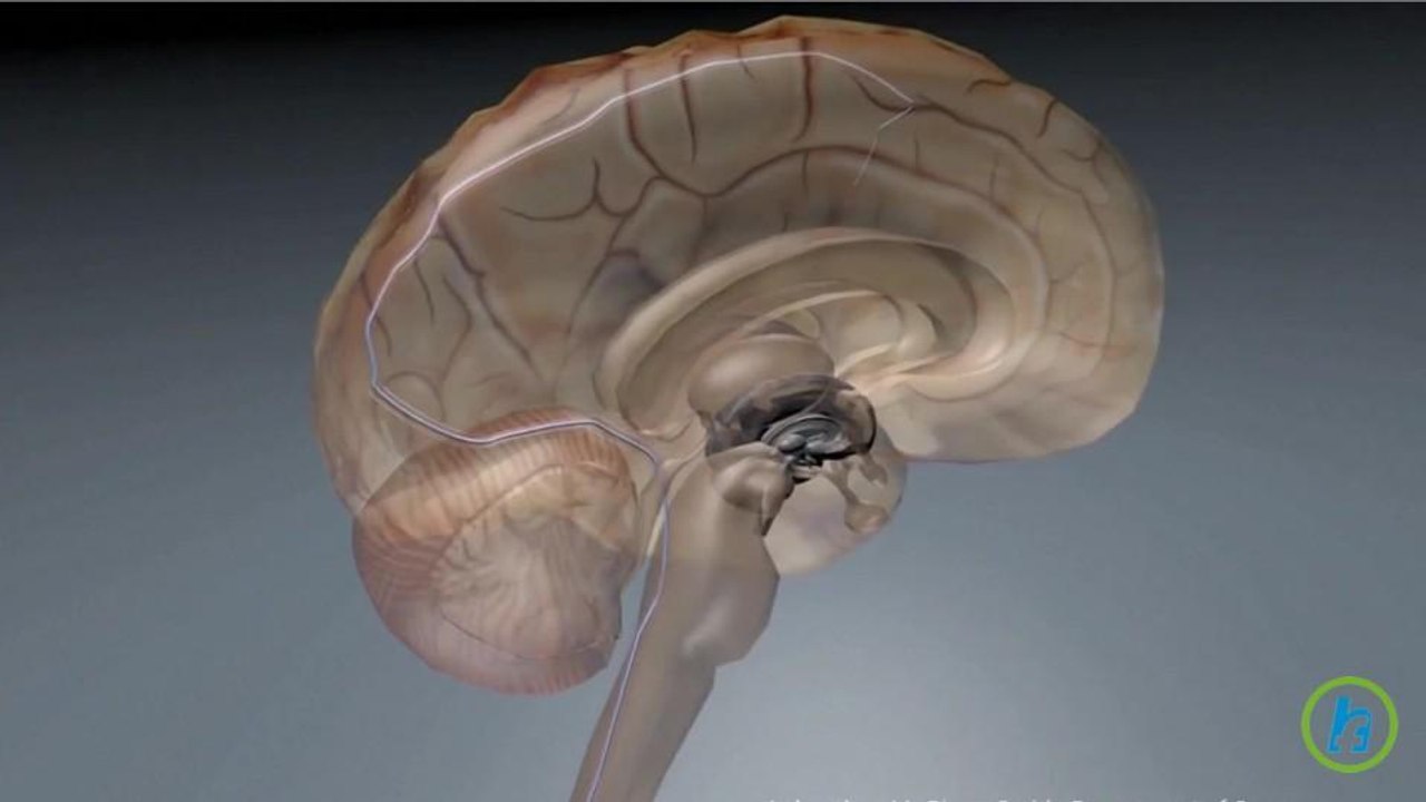 How Lithium Soothes Bipolar Brain Sheds Light on Other Mental Illnesses