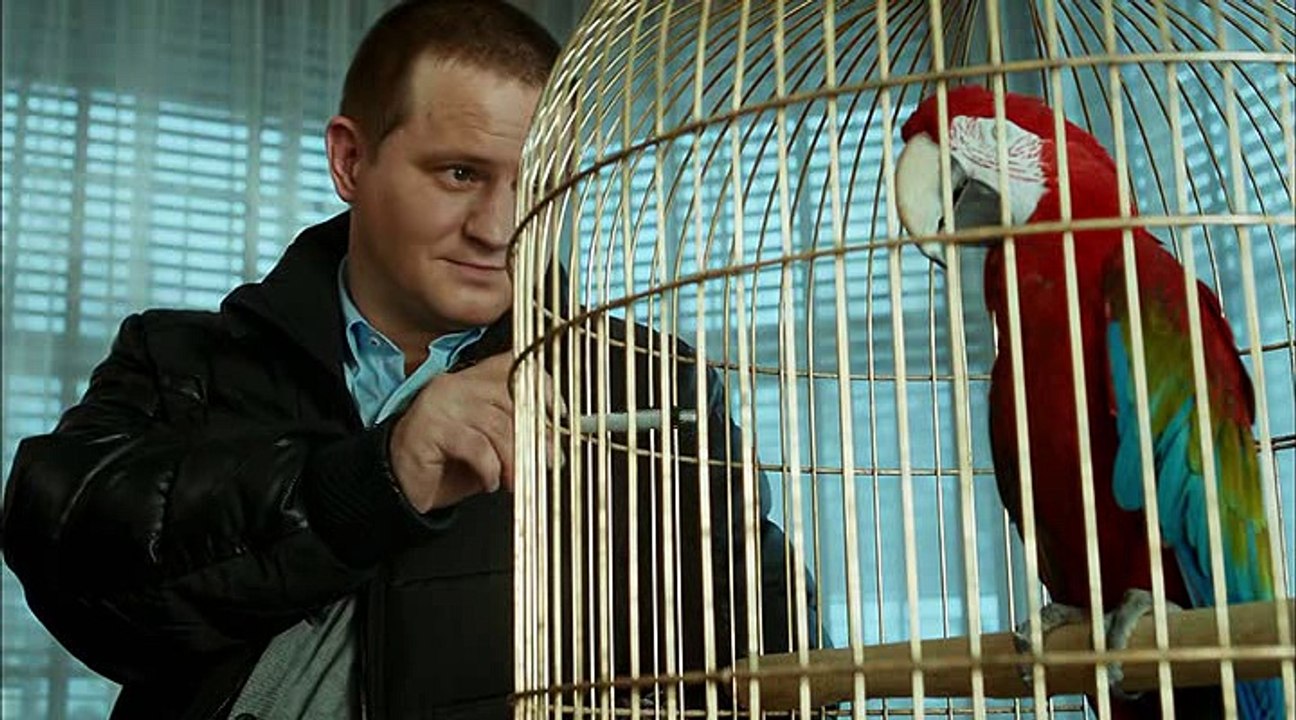 Сериал Мажор 2 сезон 6 серия смотреть онлайн бесплатно в хорошем качестве. Мажор 6 серия 2 сезон