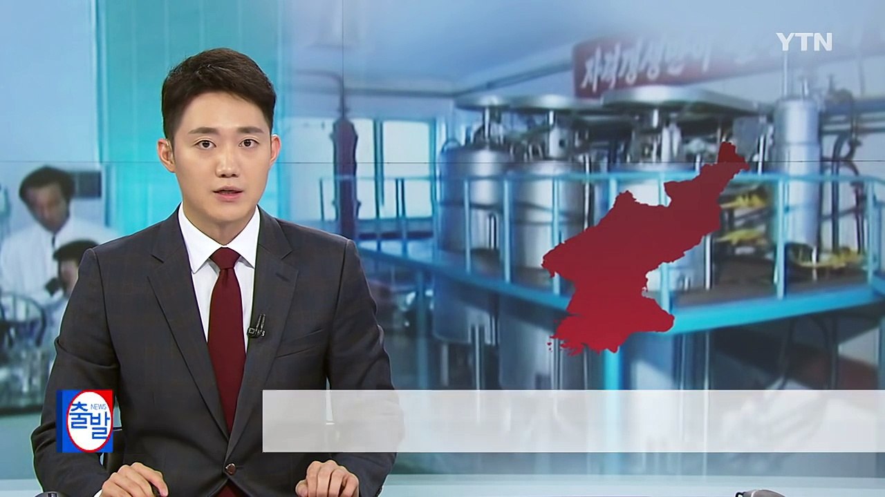 '가난한 나라의 핵, 화학무기' 북한의 또 다른 위협 / YTN (Yes! Top N...