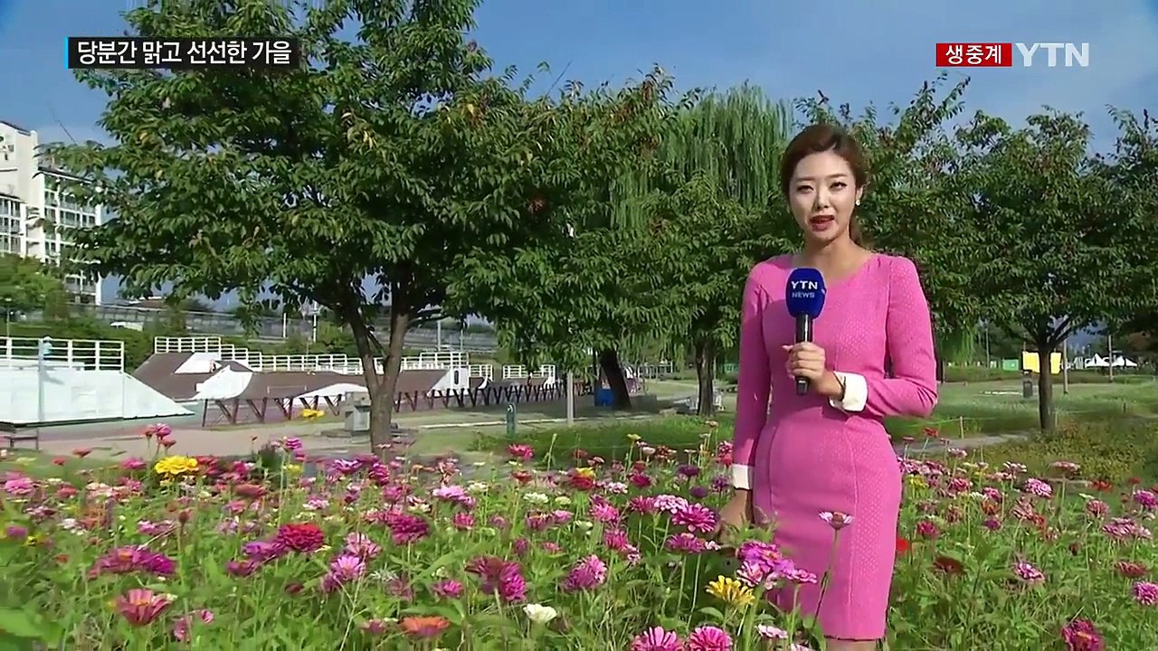 [날씨] 내일 '추분', 구름 많고 영남 동해안 가을비 / YTN (Yes! Top...