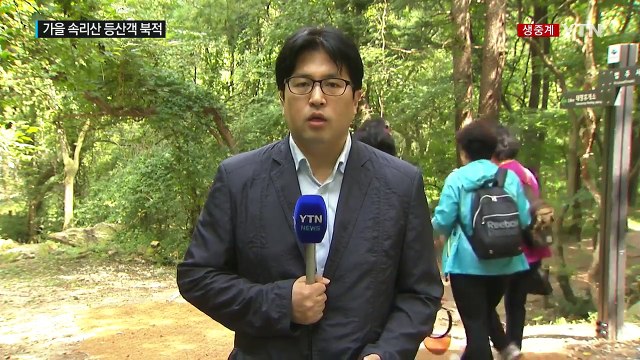 속리산 가을 정취 물씬...등산객 북적 / YTN (Yes! Top News)