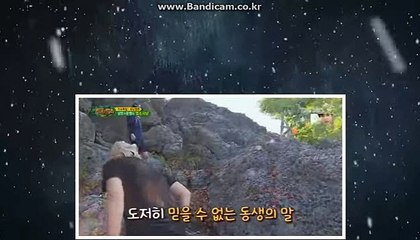사설사이트솔루션,바카라시스템도입최초,토토솔루션임대 및 토토솔루션판매,양방배팅,자동배팅 카톡:haricuty 스카이프:cuty hary