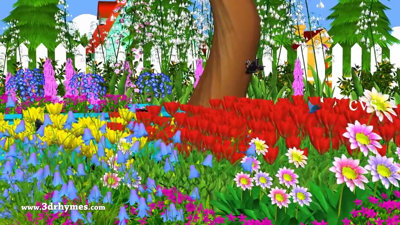 Mary Mary Quite Contrary - 3D Animation English Nursery Rhyme for Children-EDKw10e-1ko