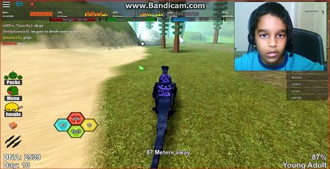 Roblox Dinosaur Simulator ||| MY BEST DINOS ||| FUN PLAY ||| gameplay ||| Hrithik