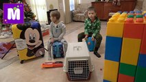 Макс и Катя навсегда покидают свой дом Отдаем кучи игрушек Едем с Муркой к родственникам наше новое видео 2017 на канале
