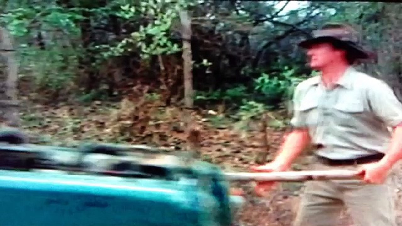 los dioses deben estar locos