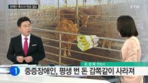 중증장애인 '평생의 꿈' 훔쳐 달아난 지인 / YTN (Yes! Top News)