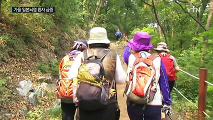 가을에 일본뇌염 환자 급증...40대 이상 특히 주의 / YTN (Yes! Top News)