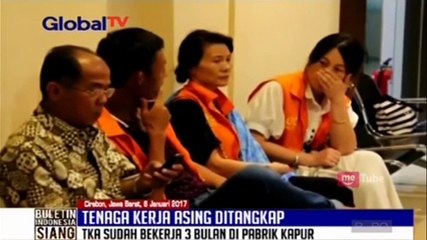 Imigrasi Tangkap 4 Tenaga Kerja Asing