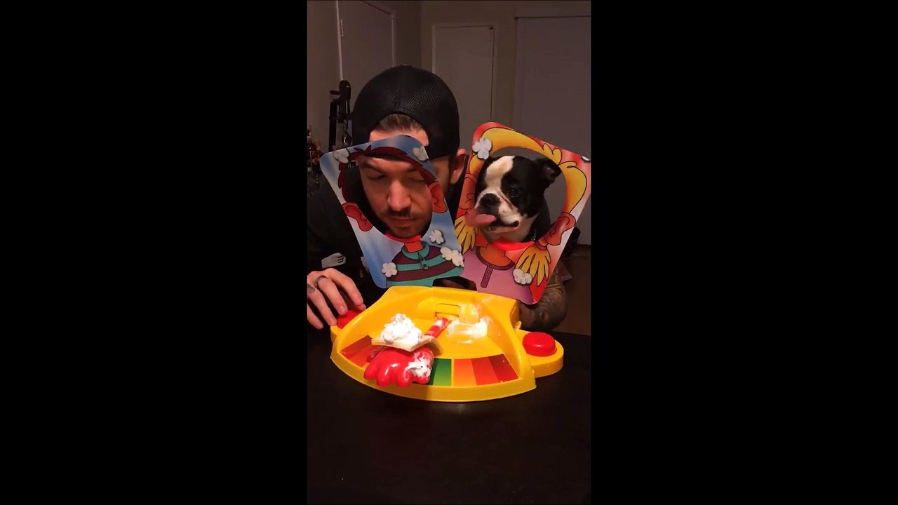 Jouer à Pie Face avec son chien...