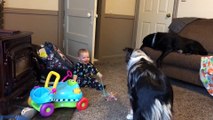Ce bébé part dans un fou rire hystérique en voyant son chien