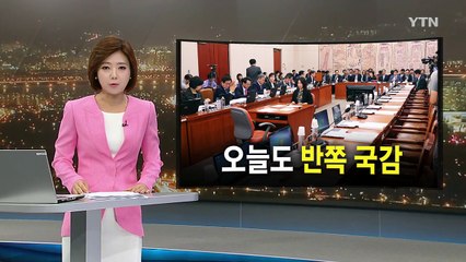 파행 나흘째...野, 단독 국감 강행 / YTN (Yes! Top News)