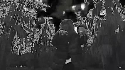 $UICIDEBOY$ ANTARCTICA