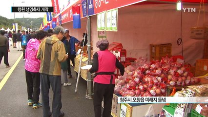 최고 농축산물 다 모였다...청원생명축제 개막 / YTN (Yes! Top News)