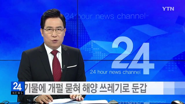폐기물에 개펄 묻혀 해양 쓰레기로 둔갑 / YTN (Yes! Top News)