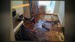 Piedmont Water Damage