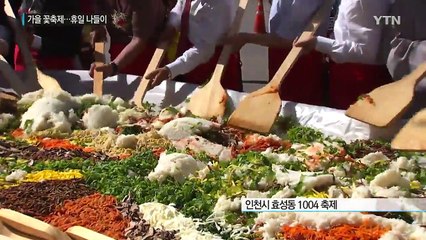 가을꽃·축제 한창...가족과 함께 한 휴일 / YTN (Yes! Top News)