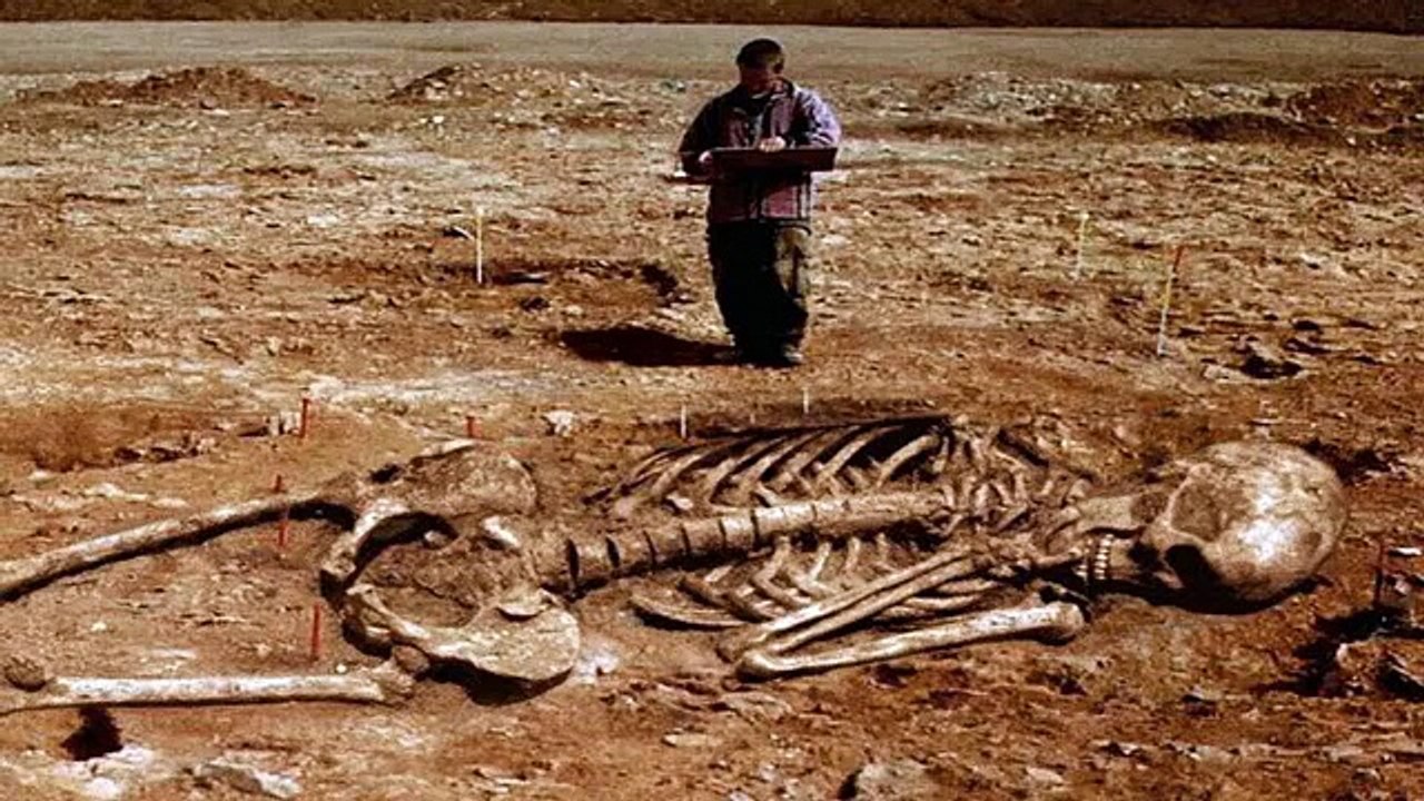 Giant Human Skeleton found in Saudi Arabia - video Dailymotion