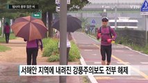태풍 '메기' 영향, 밤사이 많은 비...여객기 운항 차질 / YTN (Yes! Top News)