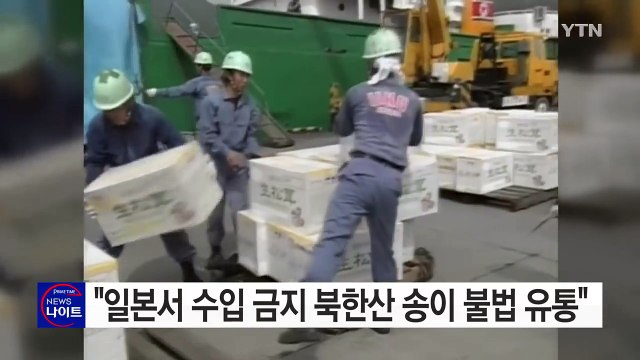 일본서 수입 금지 북한산 송이 불법 유통 / YTN (Yes! Top News)